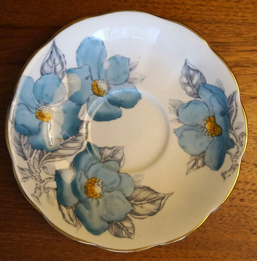 Magnolia Blue Saucer by Queen Anne (England)-1