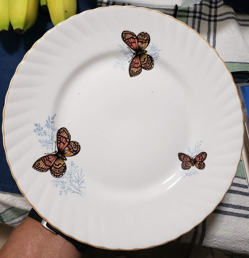 Wall Brown Dinner Plate by Queen's-1