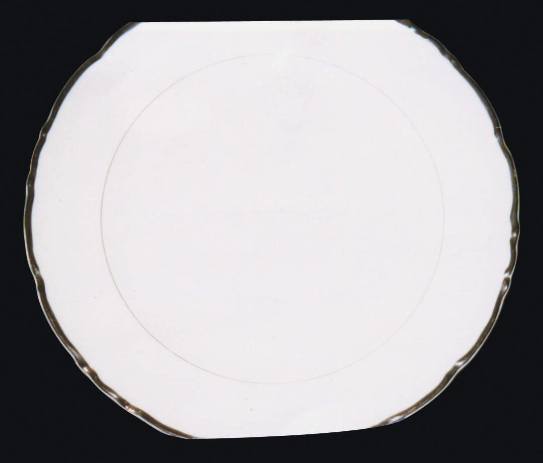 Platinum Dinner Plate by Royal Empress-1