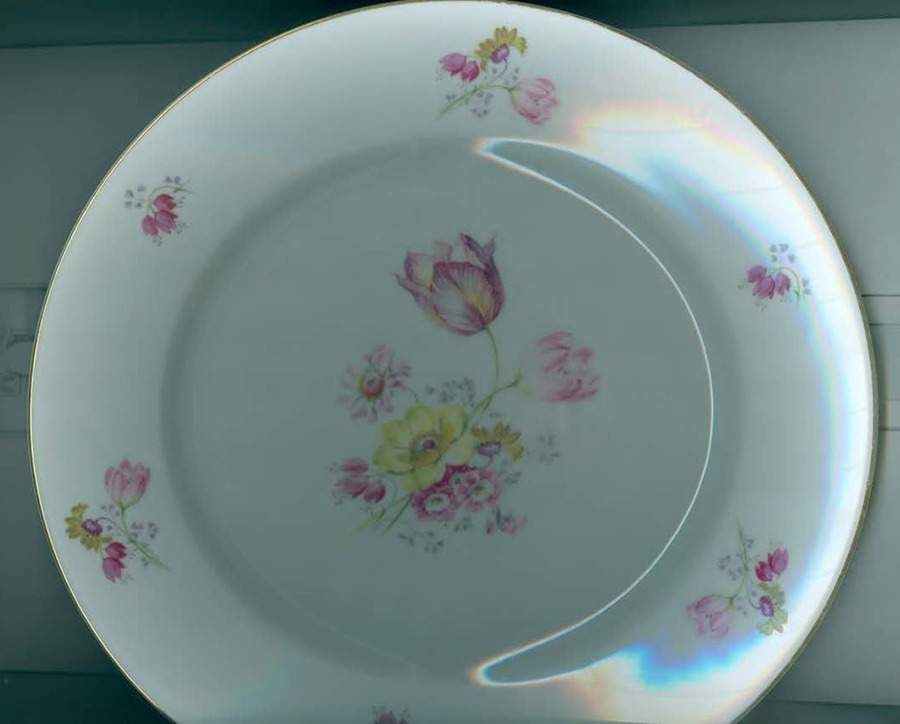 2210 Dinner Plate by Rosenthal - Continental-1