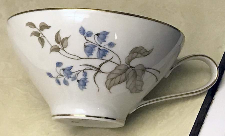 3062 Flat Cup by Rosenthal - Continental-1