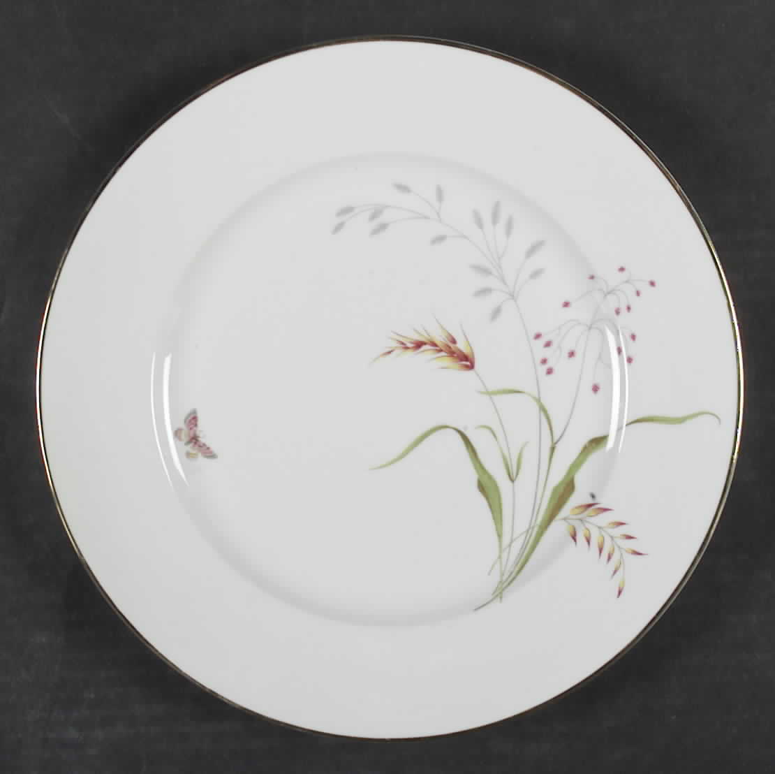 3162 (Aida, White) Dinner Plate by Rosenthal - Continental-1