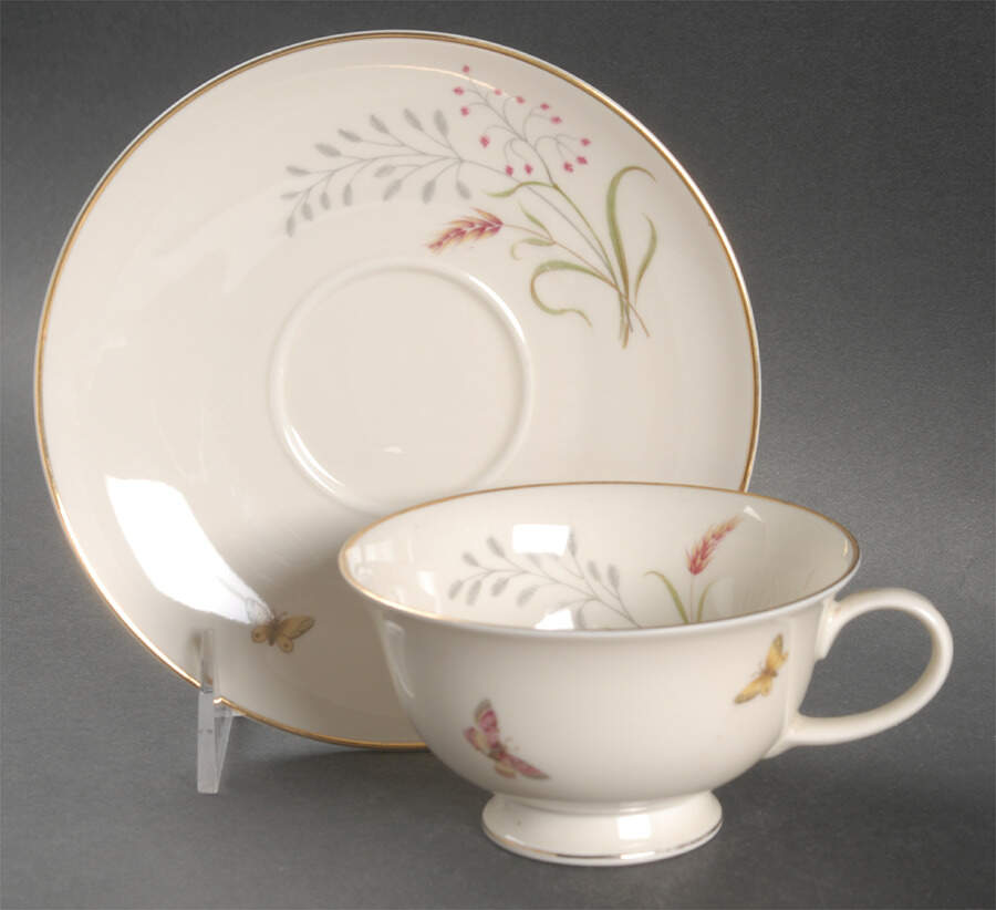 3162 (Aida, Cream) Footed Cup & Saucer Set by Rosenthal - Continental-1