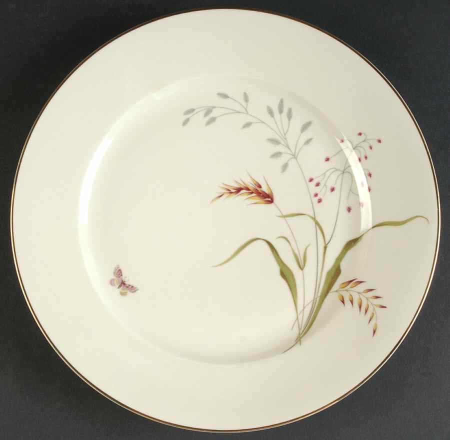 3162 (Aida, Cream) Dinner Plate by Rosenthal - Continental-1