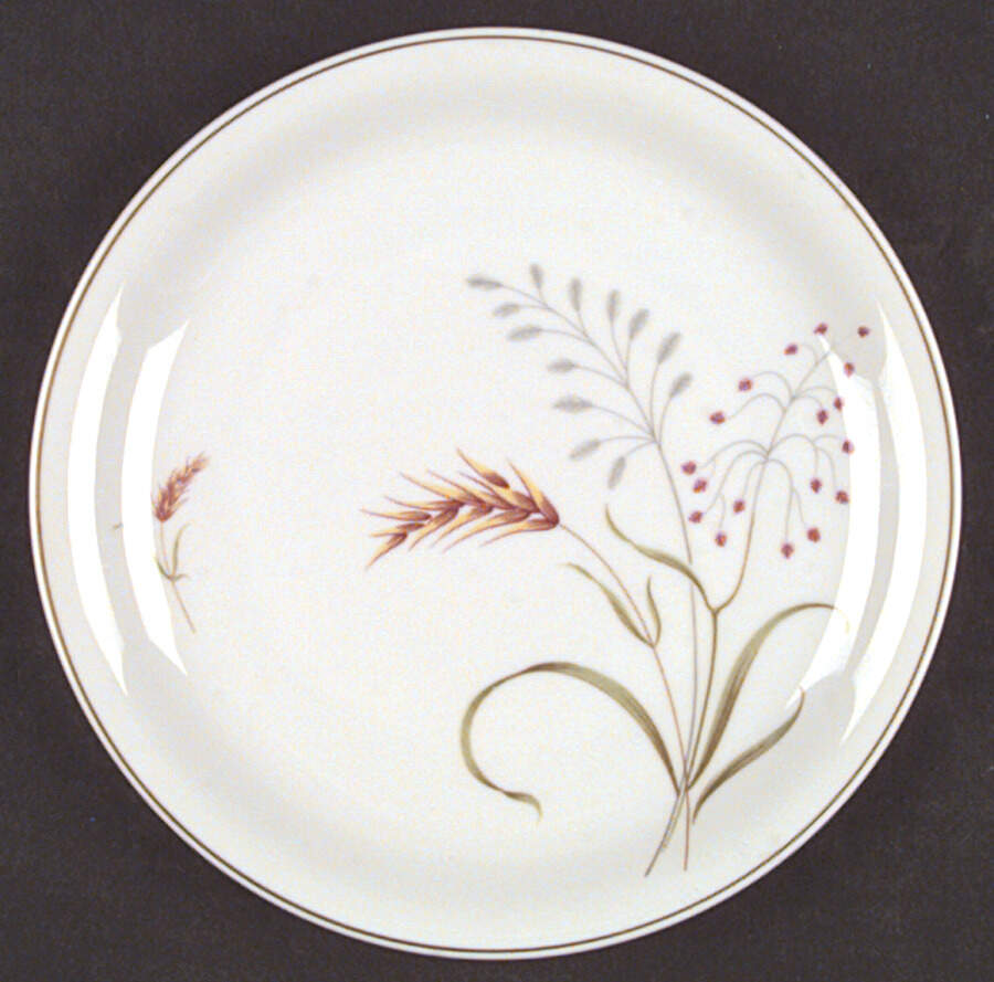 3162 (Form E) Dinner Plate by Rosenthal - Continental-1