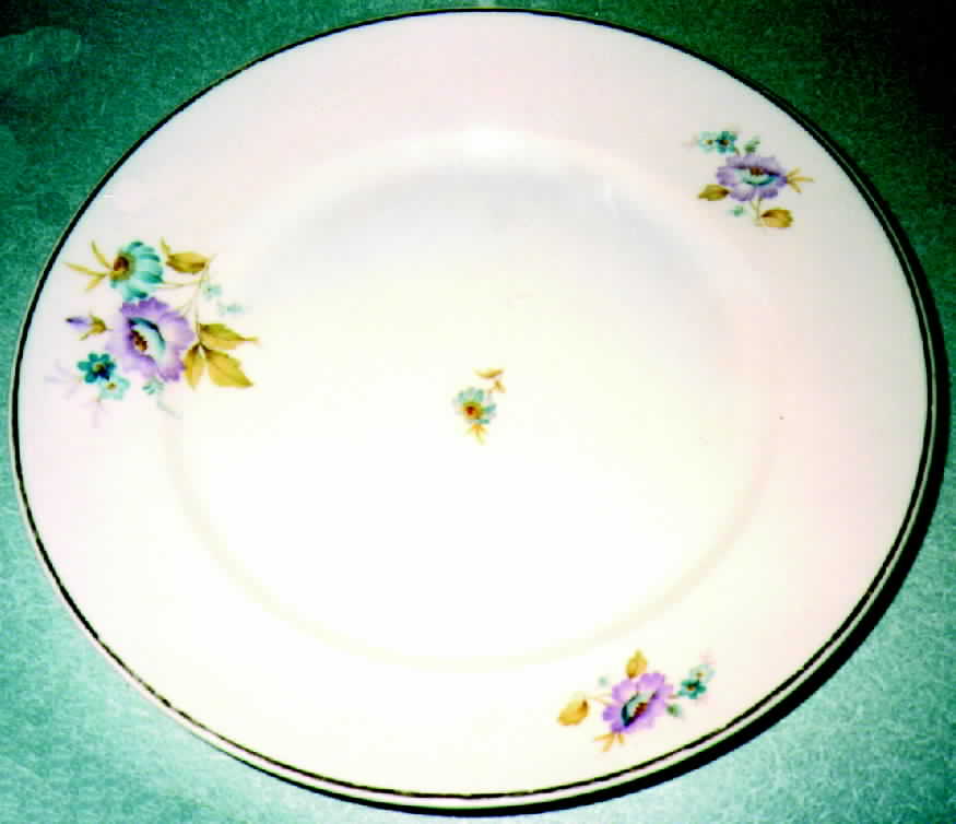 3228 Dinner Plate by Rosenthal - Continental-1