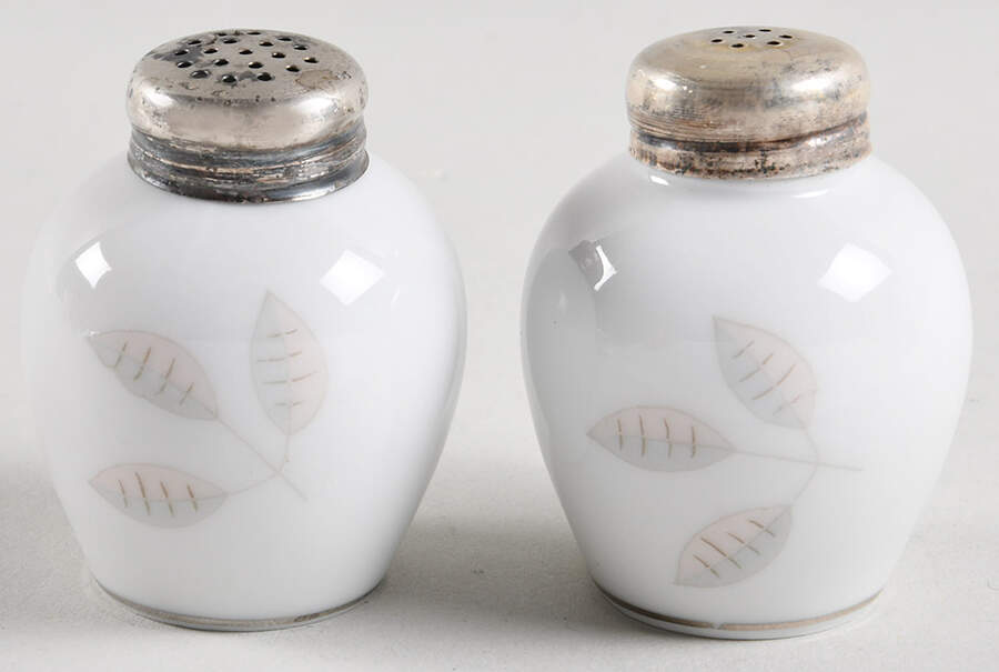 3436 Salt & Pepper Set by Rosenthal - Continental-1