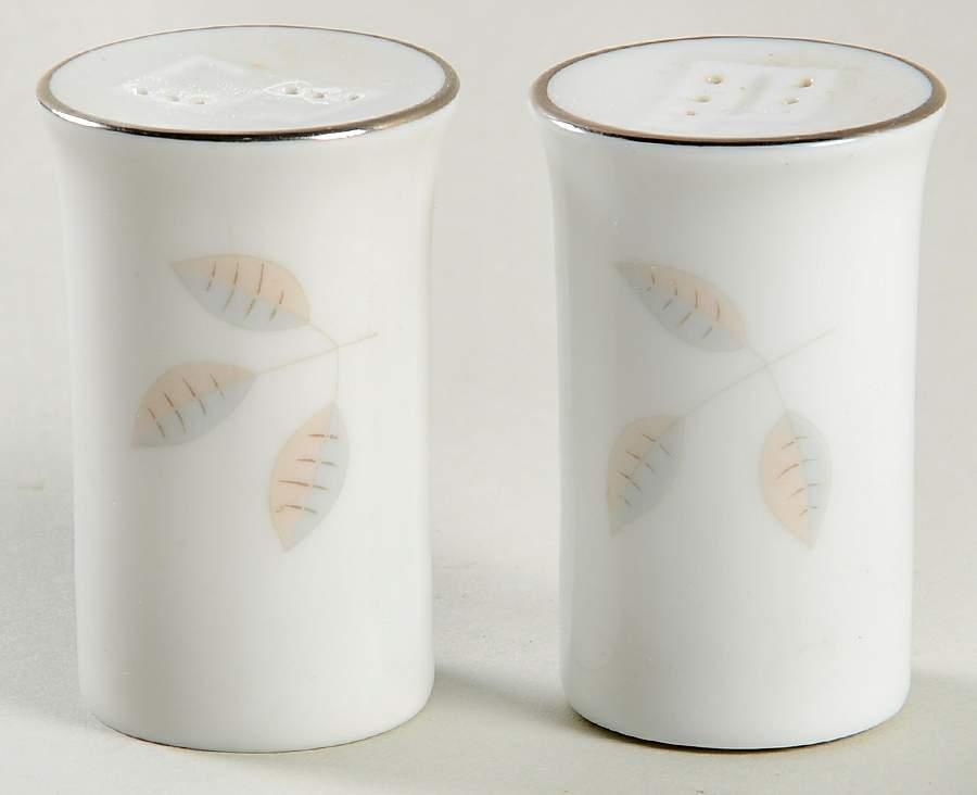 3436 Salt & Pepper Set by Rosenthal - Continental-1