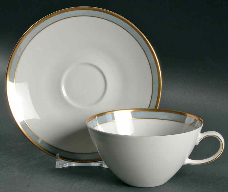 Gala Blue (Fortuna Shape) Flat Cup & Saucer Set by Rosenthal - Continental-1