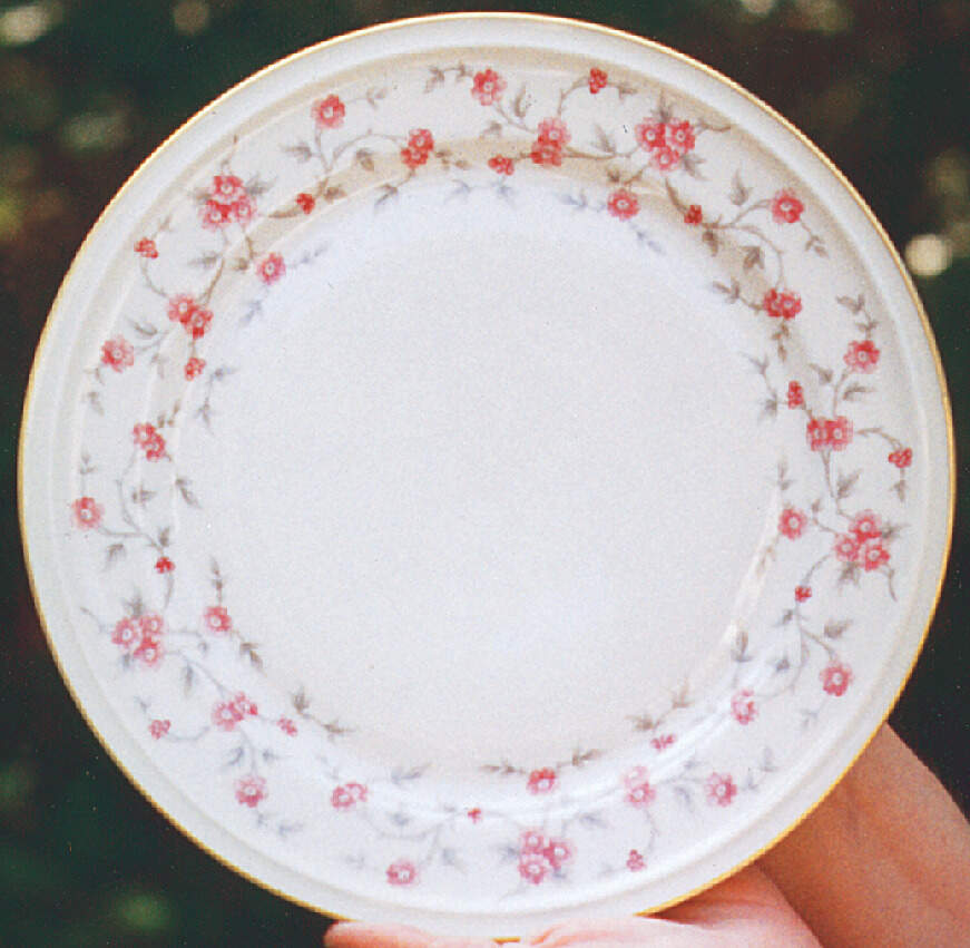 3630 Dinner Plate by Rosenthal - Continental-1