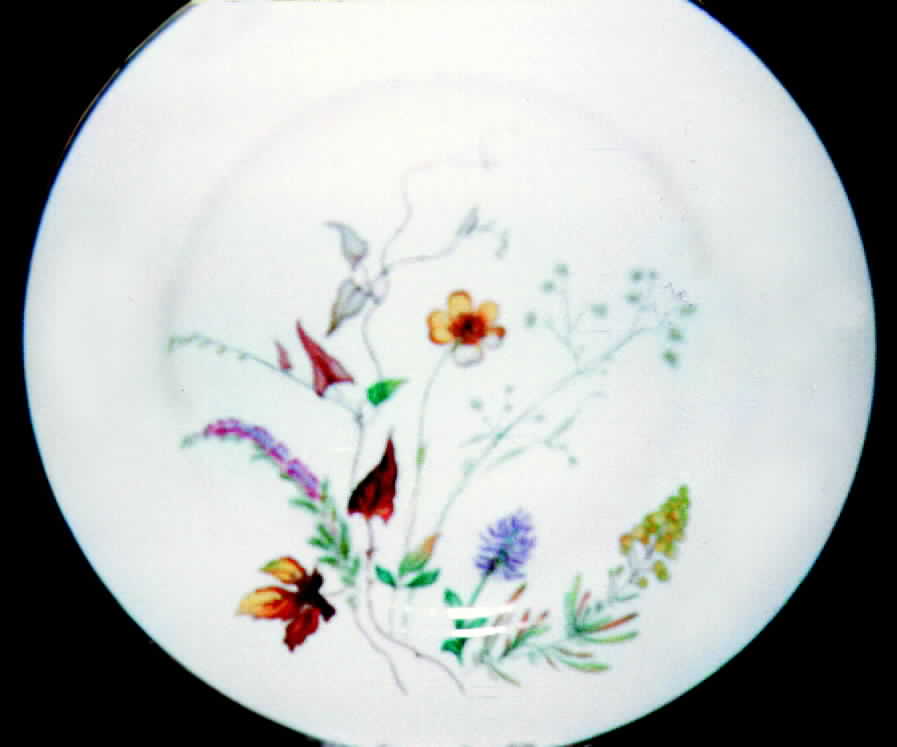 5173 Dinner Plate by Rosenthal - Continental-1