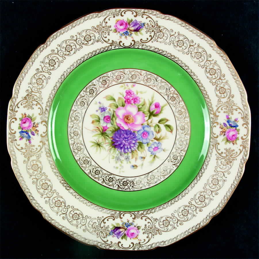 5893 (Green) Dinner Plate by Rosenthal - Continental-1