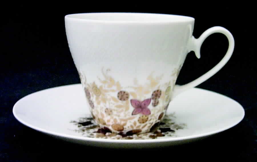 6040 Flat Cup & Saucer Set by Rosenthal - Continental-1