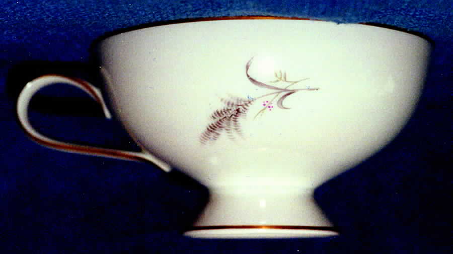 7533 (Rim, Gold) Footed Cup by Rosenthal - Continental-1