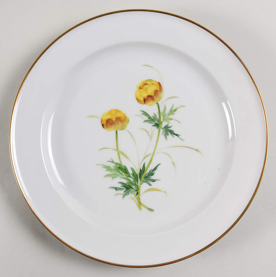 Alpine Flowers Dinner Plate by Rosenthal - Continental-1