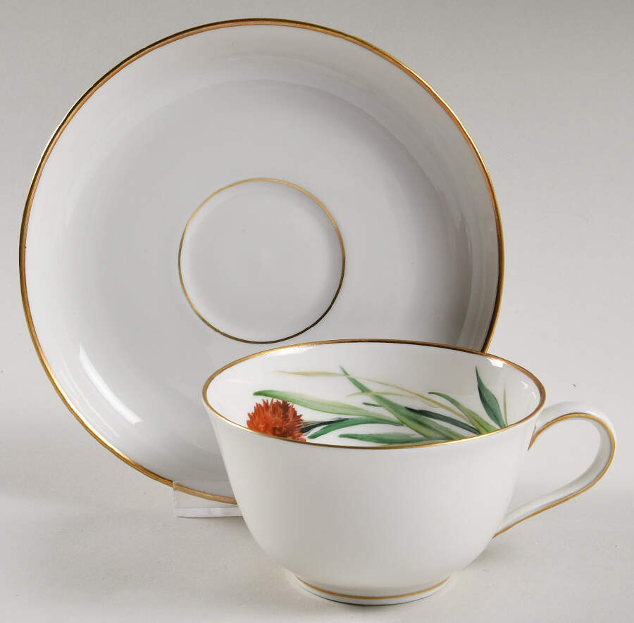 Alpine Flowers Flat Cup & Saucer Set by Rosenthal - Continental-1