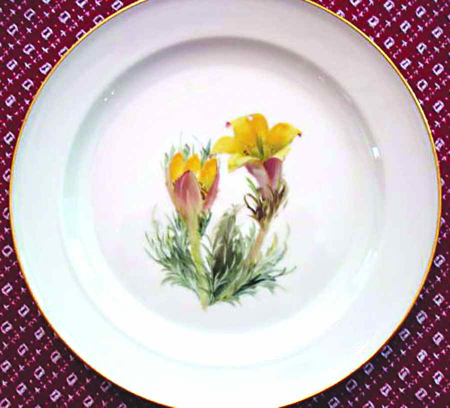 Alpine Flowers Dinner Plate by Rosenthal - Continental-1