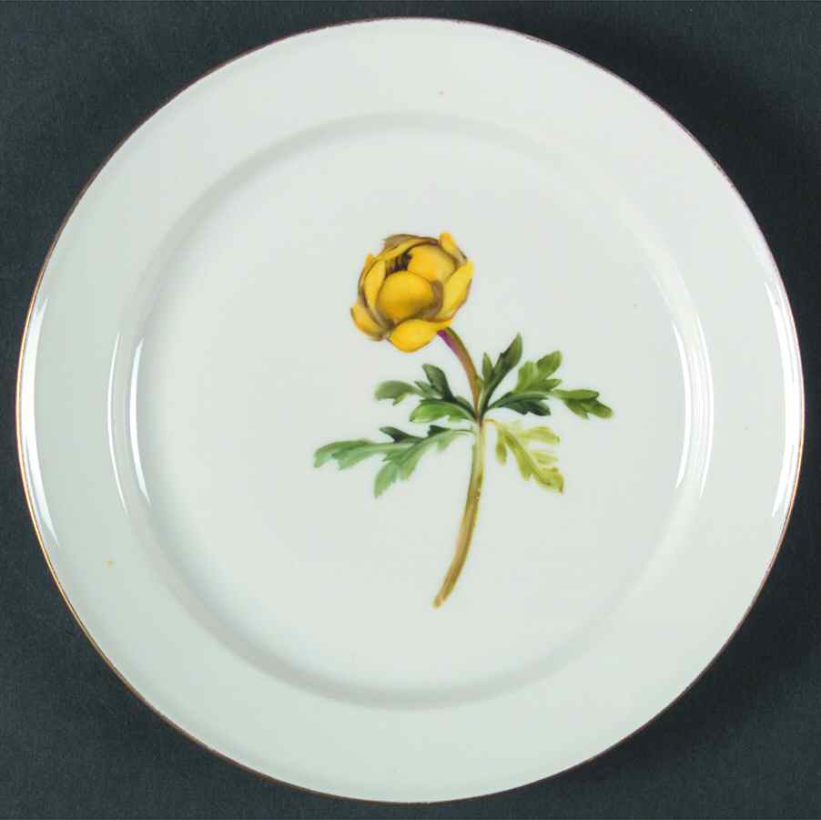 Alpine Flowers Bread & Butter Plate by Rosenthal - Continental-1