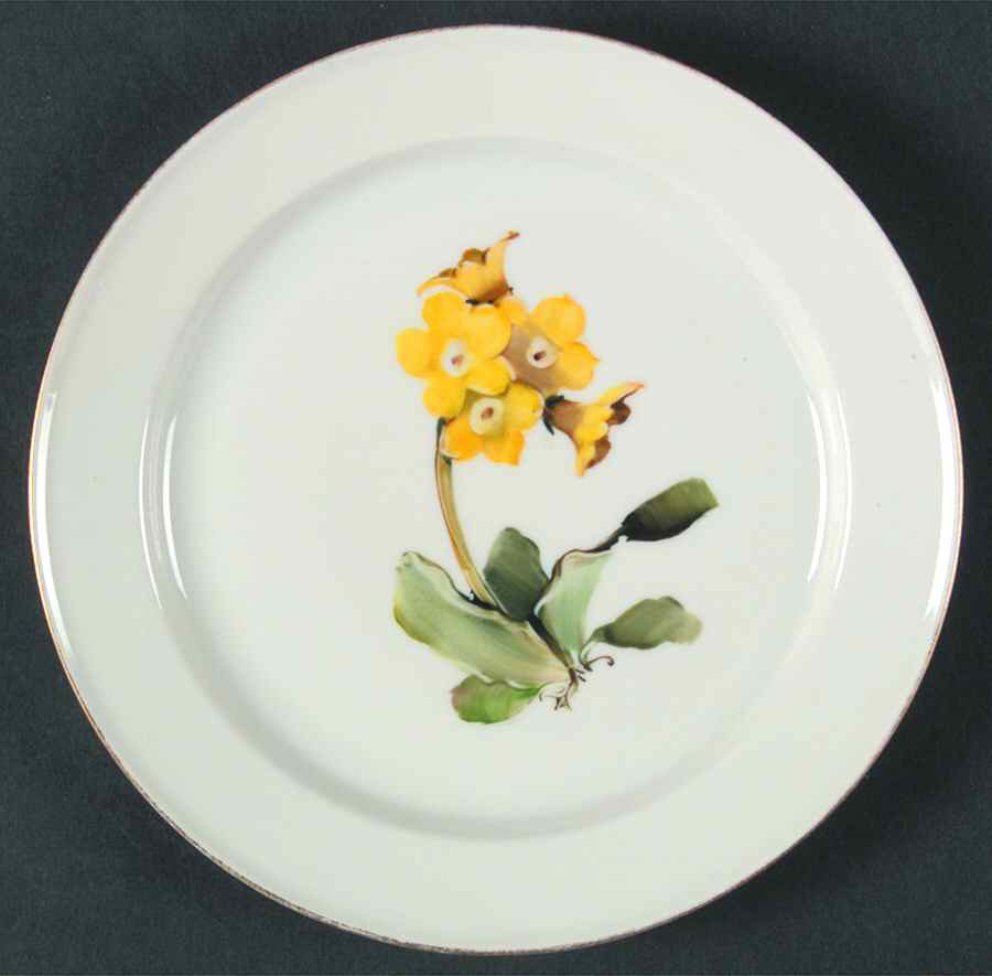 Alpine Flowers Bread & Butter Plate by Rosenthal - Continental-1