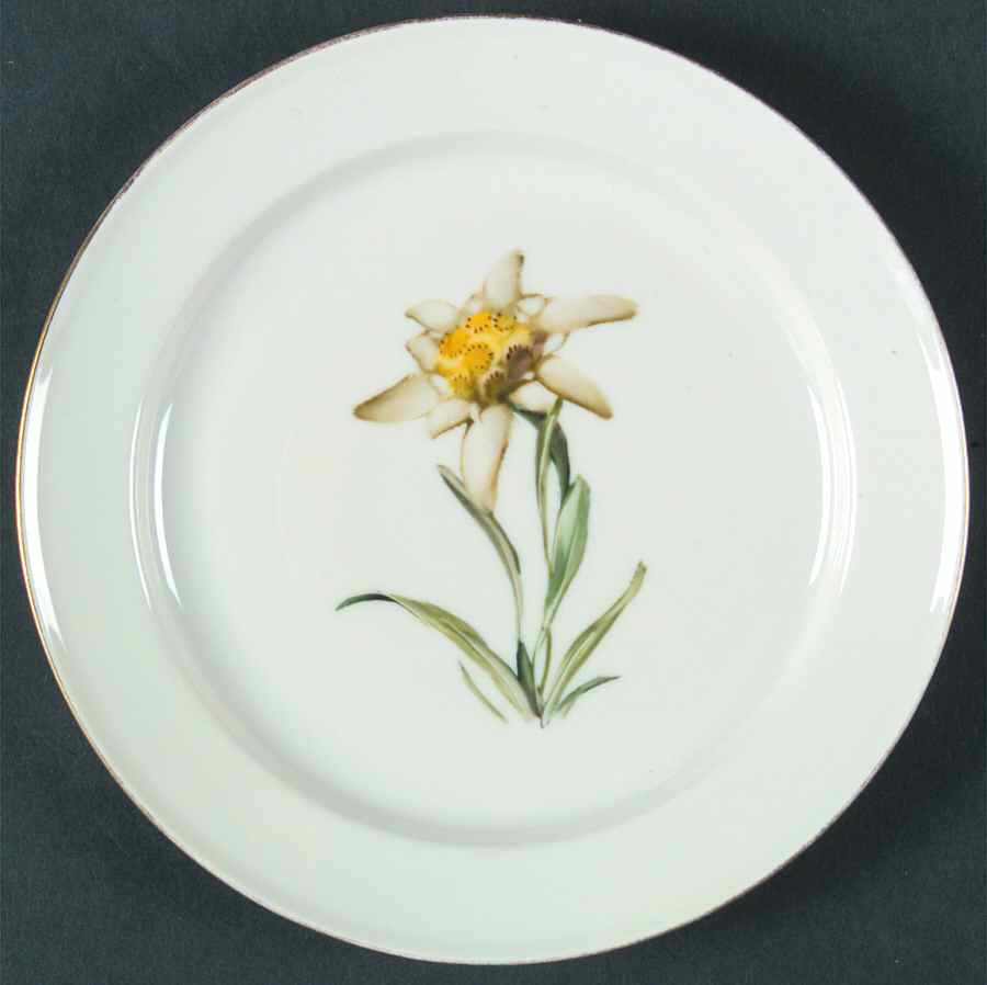 Alpine Flowers Bread & Butter Plate by Rosenthal - Continental-1