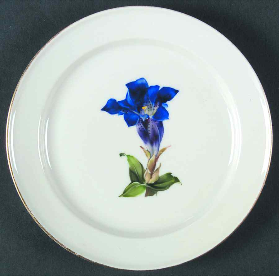 Alpine Flowers Bread & Butter Plate by Rosenthal - Continental-1