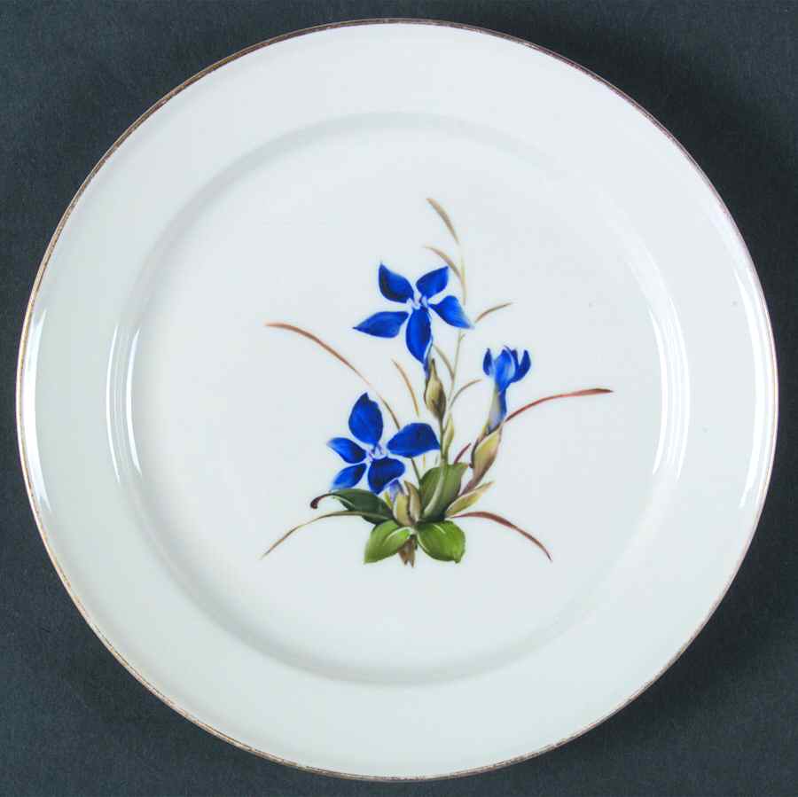 Alpine Flowers Bread & Butter Plate by Rosenthal - Continental-1
