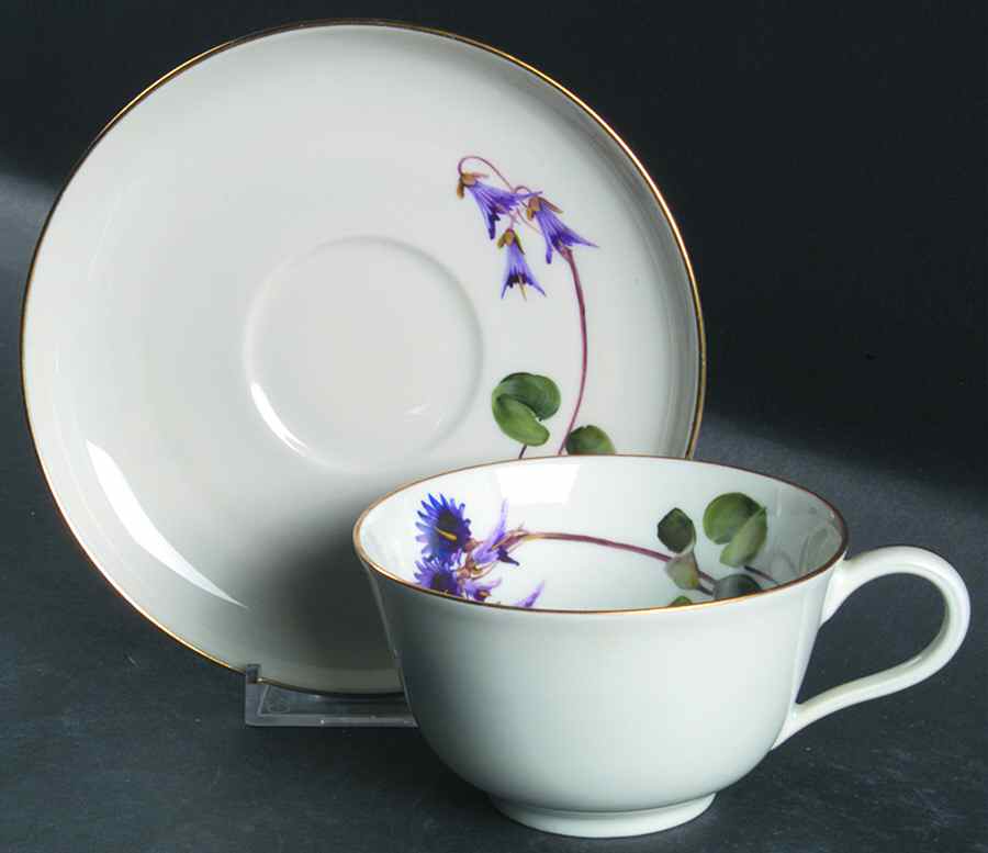 Alpine Flowers Flat Cup & Saucer Set by Rosenthal - Continental-1