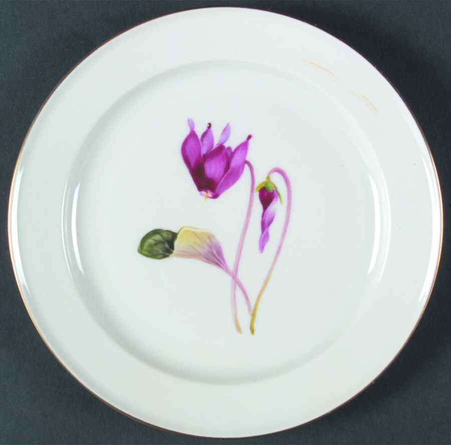 Alpine Flowers Dessert/Pie Plate by Rosenthal - Continental-1