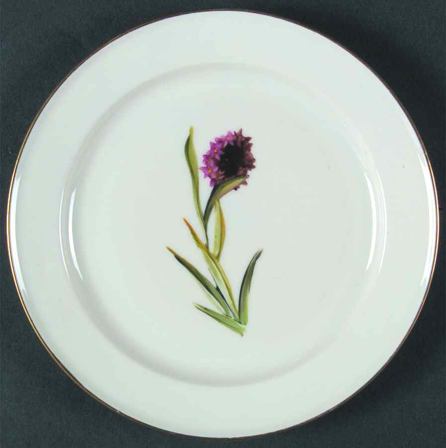 Alpine Flowers Dessert/Pie Plate by Rosenthal - Continental-1