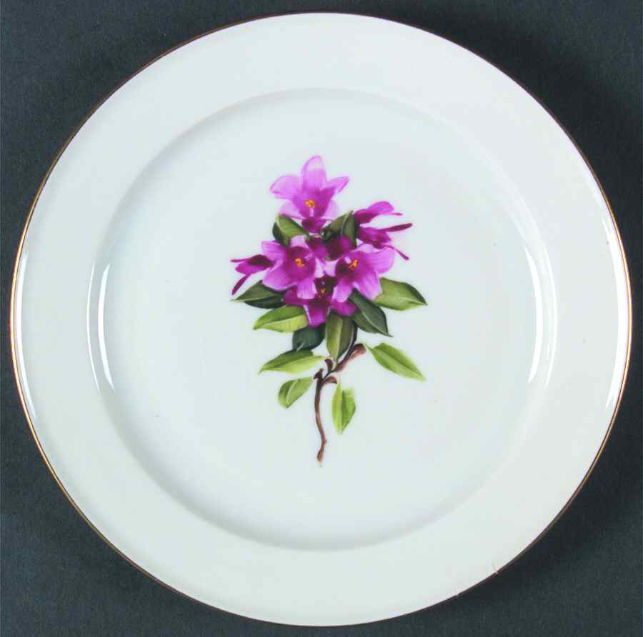 Alpine Flowers Dessert/Pie Plate by Rosenthal - Continental-1