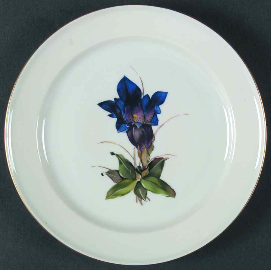 Alpine Flowers Dessert/Pie Plate by Rosenthal - Continental-1