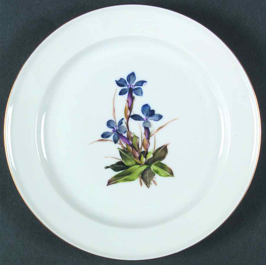 Alpine Flowers Dessert/Pie Plate by Rosenthal - Continental-1