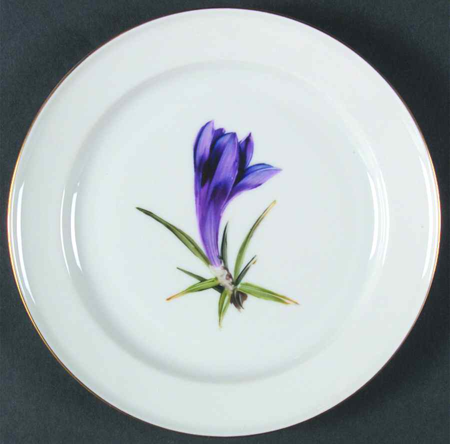 Alpine Flowers Dessert/Pie Plate by Rosenthal - Continental-1