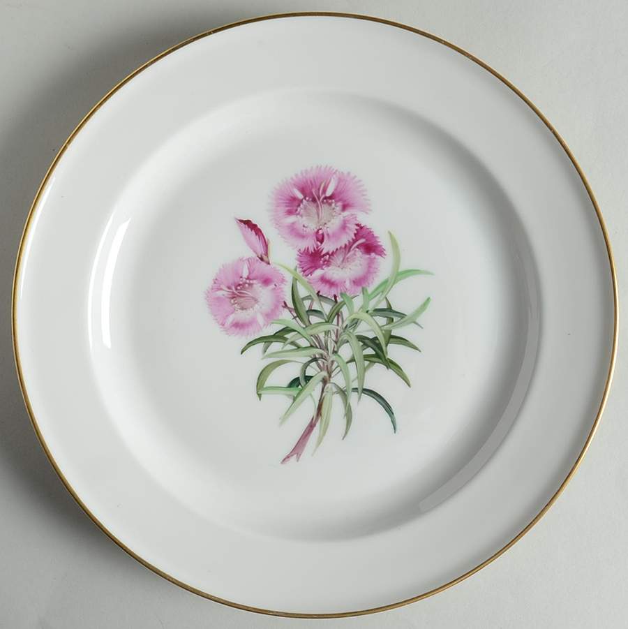 Alpine Flowers Dinner Plate by Rosenthal - Continental-1