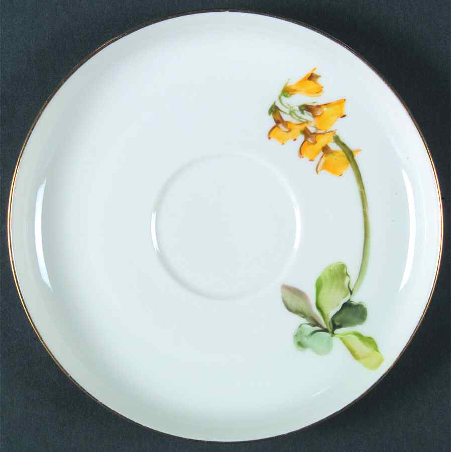 Alpine Flowers Saucer for Flat Cup by Rosenthal - Continental-1