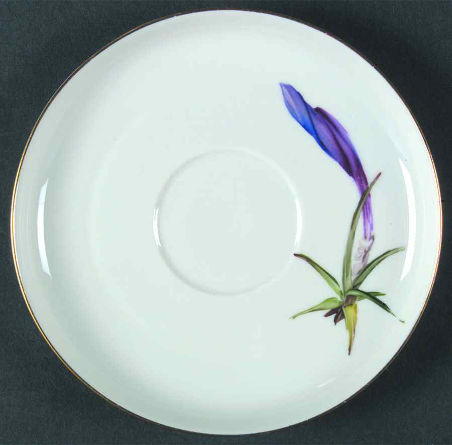 Alpine Flowers Saucer for Flat Cup by Rosenthal - Continental-1