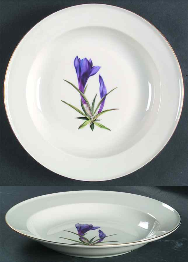 Alpine Flowers Large Rim Soup Bowl by Rosenthal - Continental-1