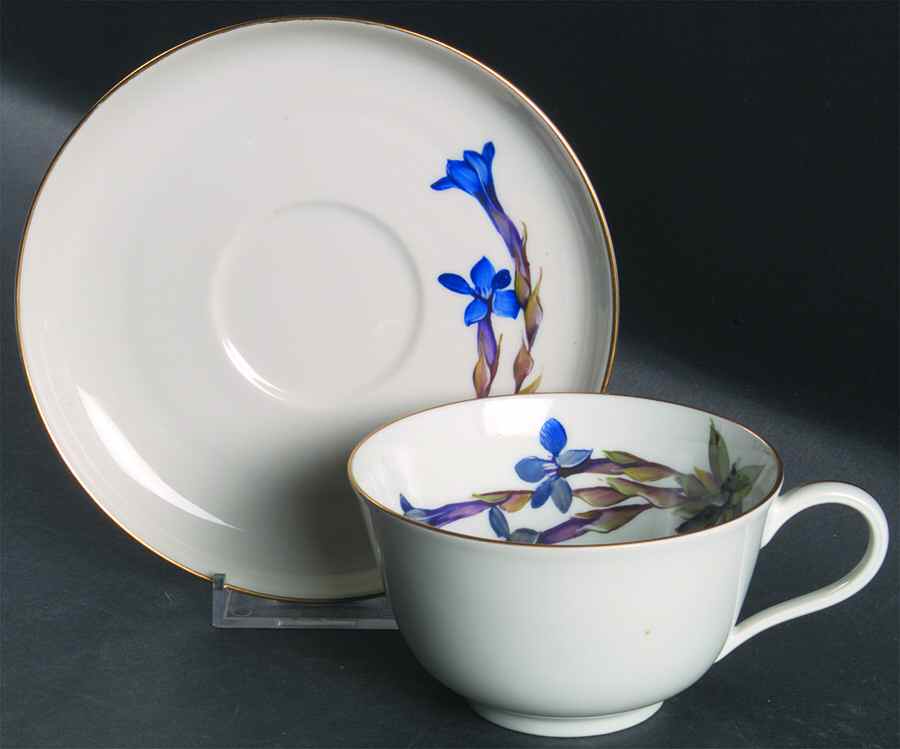 Alpine Flowers Flat Cup & Saucer Set by Rosenthal - Continental-1