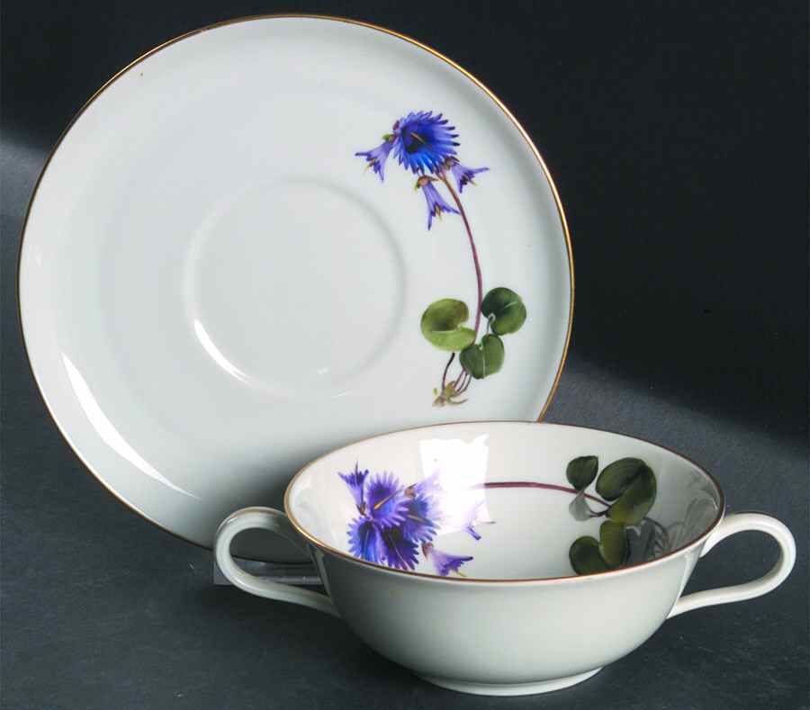 Alpine Flowers Flat Cream Soup Bowl & Saucer Set by Rosenthal - Continental-1