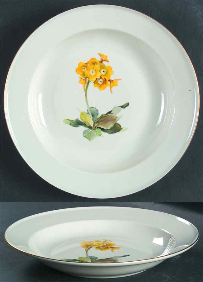 Alpine Flowers Large Rim Soup Bowl by Rosenthal - Continental-1