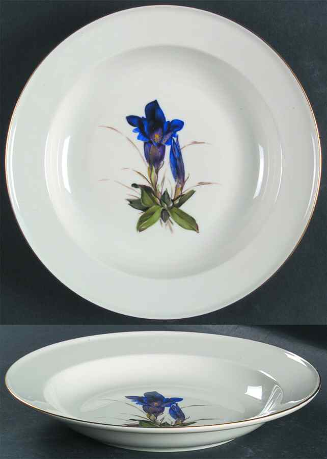 Alpine Flowers Large Rim Soup Bowl by Rosenthal - Continental-1