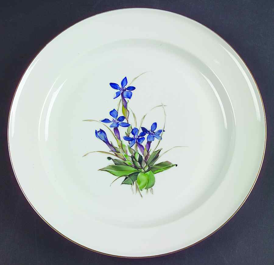 Alpine Flowers Dinner Plate by Rosenthal - Continental-1