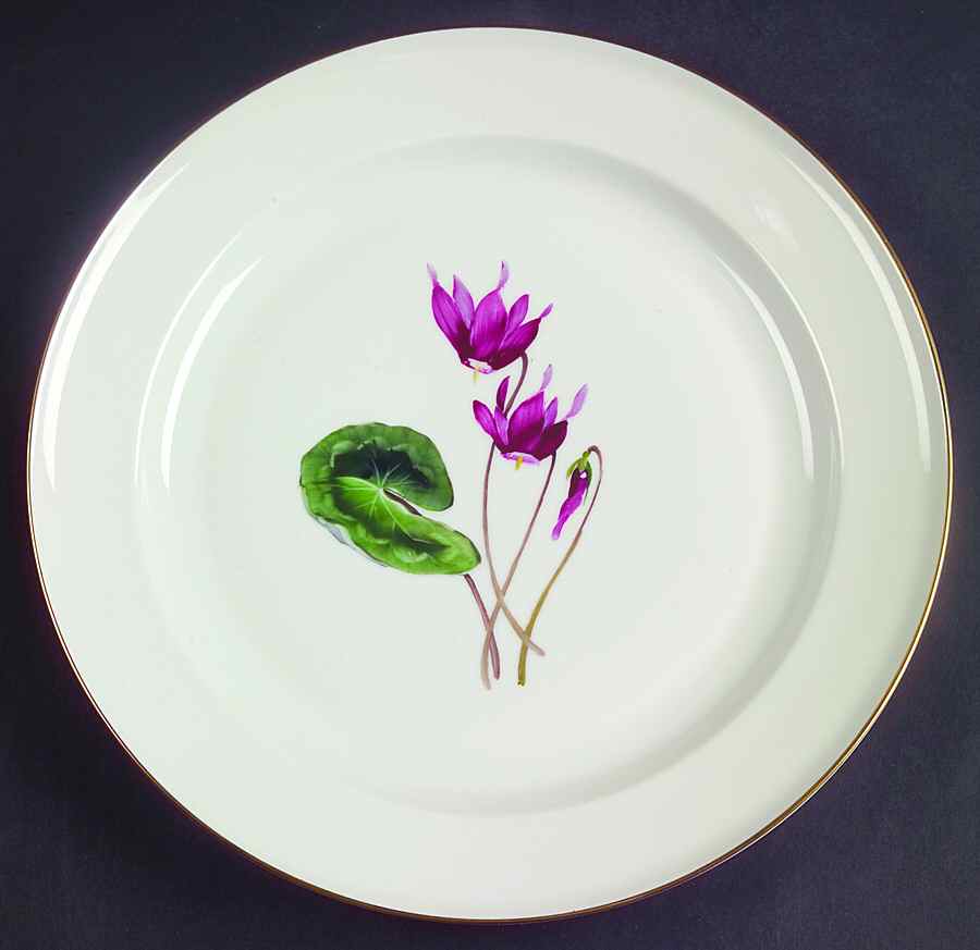 Alpine Flowers Dinner Plate by Rosenthal - Continental-1
