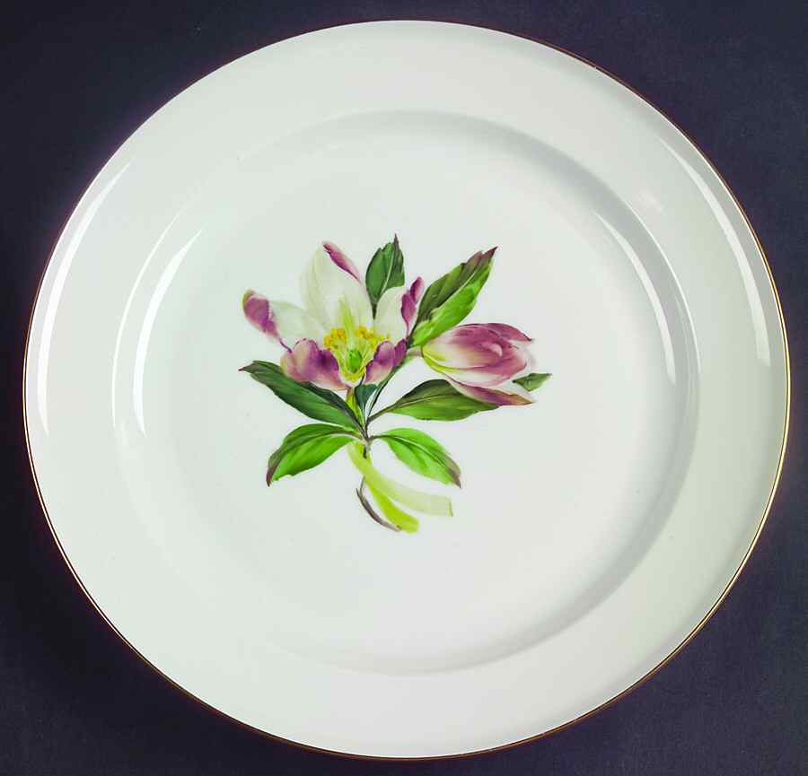 Alpine Flowers Dinner Plate by Rosenthal - Continental-1