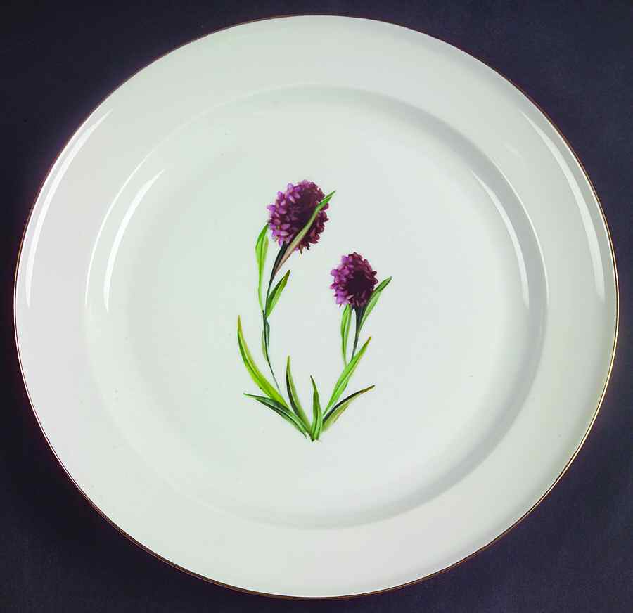 Alpine Flowers Dinner Plate by Rosenthal - Continental-1