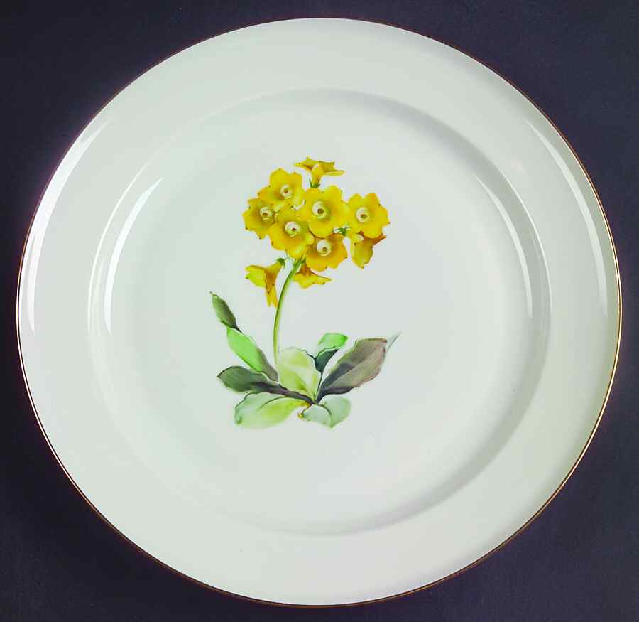 Alpine Flowers Dinner Plate by Rosenthal - Continental-1