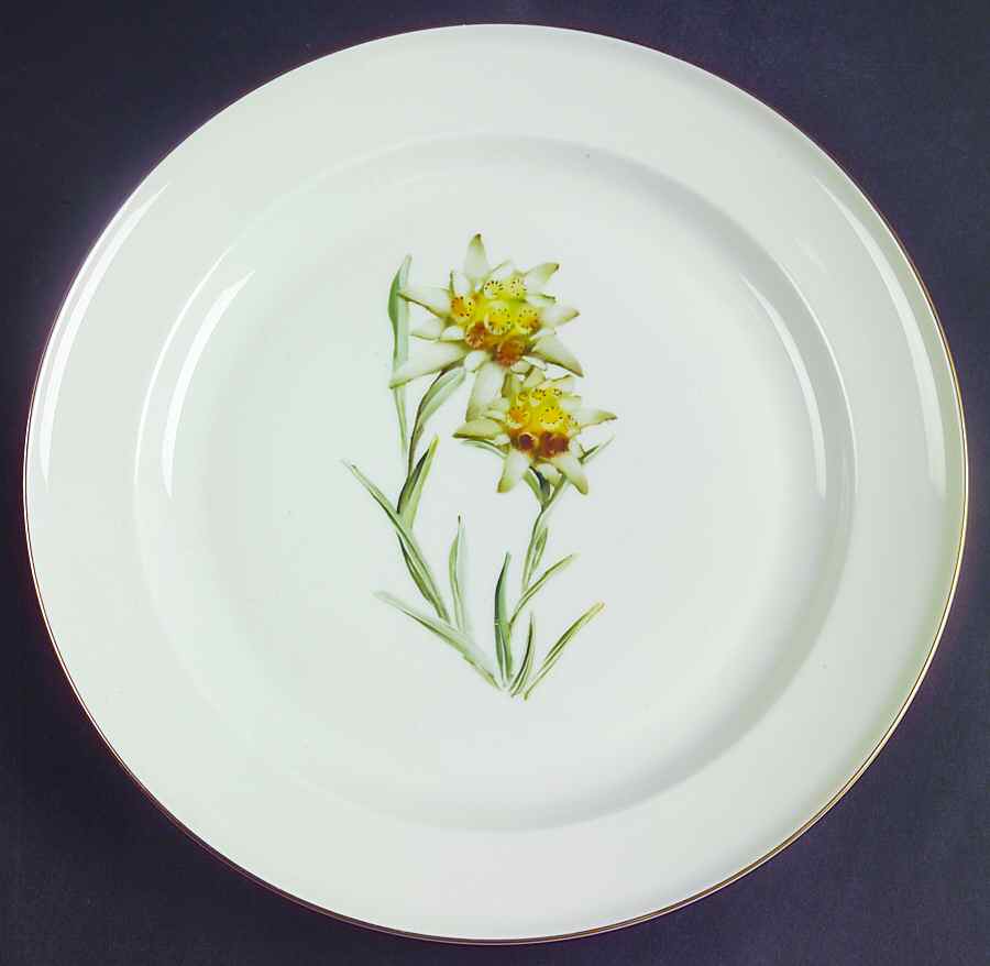 Alpine Flowers Dinner Plate by Rosenthal - Continental-1