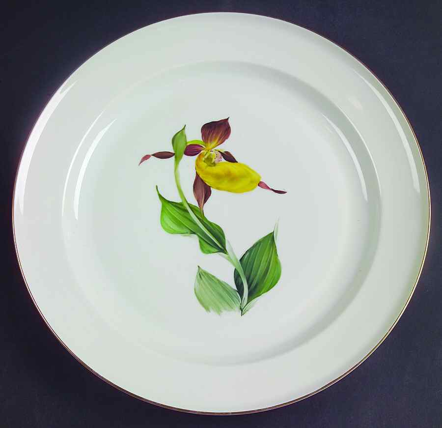 Alpine Flowers Dinner Plate by Rosenthal - Continental-1