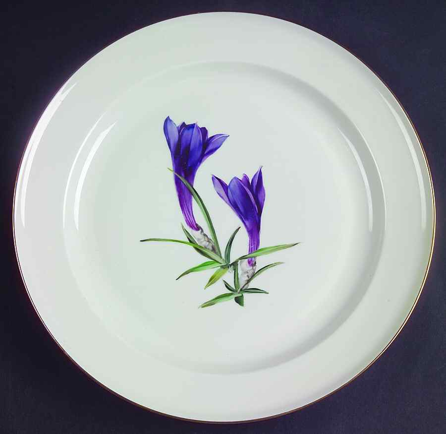 Alpine Flowers Dinner Plate by Rosenthal - Continental-1