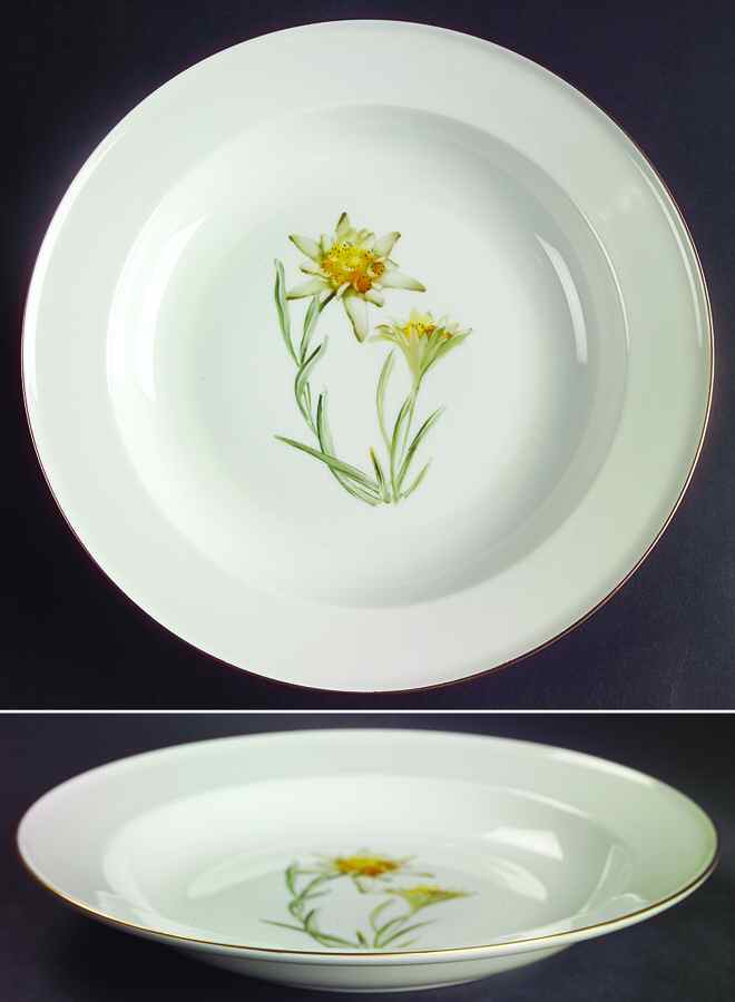 Alpine Flowers Large Rim Soup Bowl by Rosenthal - Continental-1